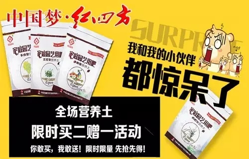 全场营养土限时买二送一活动——桃子APP官网