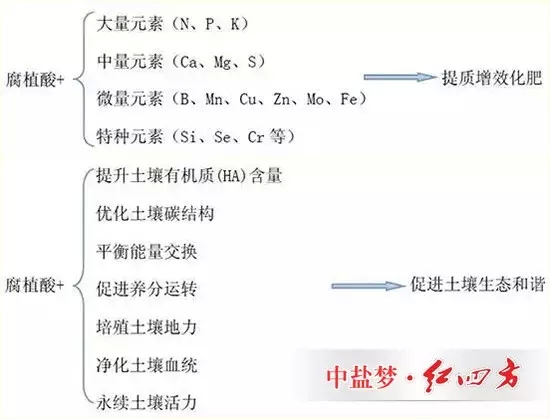 黑金含有的腐植酸能够提质增效化肥，能够促进土壤生态和谐